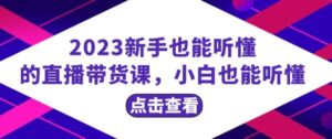 2023新手也能听懂的直播带货课，小白也能听懂，20节完整-大磊资源网