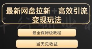 最新最全夸克网盘拉新变现玩法，多种裂变，举一反三变现玩法【揭秘】-大磊资源网