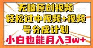 无脑原创视频，轻松过中视频+视频号分成计划，小白也能月入3w+【揭秘】-大磊资源网