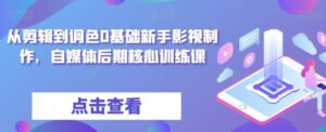从剪辑到调色0基础新手影视制作，自媒体后期核心训练课-大磊资源网