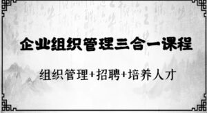 企业组织管理三合一课程：组织管理+招聘+培养人才-大磊资源网