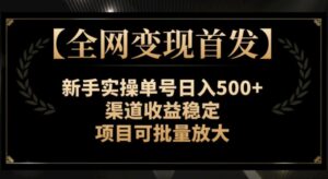 全网变现首发】新手实操单号日入500+，渠道收益稳定，项目可批量放大-大磊资源网