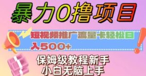 暴力0撸项目：短视频推广流量卡轻松日入500+，保姆级教程新手小白无脑上手【揭秘】-大磊资源网