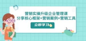 营销实操升级·企业管理课：分享核心框架+营销案例+营销工具-大磊资源网
