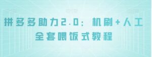 拼多多助力2.0：机刷+人工全套喂饭式教程【揭秘】-大磊资源网
