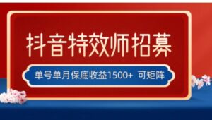 全网首发抖音特效师最新玩法，单号保底收益1500+，可多账号操作，每天操作十分钟-大磊资源网