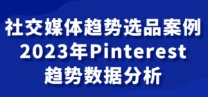 社交媒体趋势选品案例，2023年Pinterest趋势数据分析课-大磊资源网