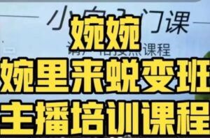 婉婉·婉里来蜕变班全方位理解底层逻辑并灵活运用-大磊资源网