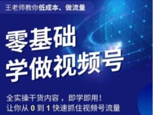 王老师教你低成本、做流量，零基础学做视频号，0-1快速抓住视频号流量-大磊资源网