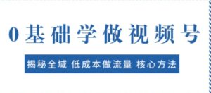 0基础学做视频号：揭秘全域低成本做流量核心方法快速出爆款轻松变现-大磊资源网