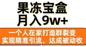 果冻宝盒，一个人在家打造群裂变，实现精准引流，达成被动收入，月入9w+-大磊资源网