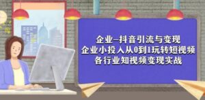 企业-抖音引流与变现：企业小投入从0到1玩转短视频各行业知视频变现实战-大磊资源网