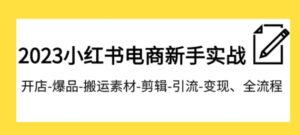 023小红书电商新手实战课程，开店-爆品-搬运素材-剪辑-引流-变现、全流程-大磊资源网