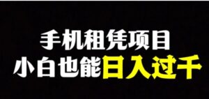 手机租凭项目，0成本高利润，小白也能日入过千-大磊资源网