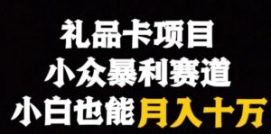 礼品卡项目，小众暴利赛道，保姆式教学-大磊资源网
