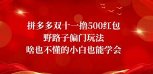 拼多多双十一撸500红包野路子偏门玩法，啥也不懂的小白也能学会【揭秘】-大磊资源网
