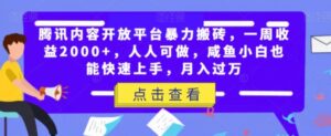 腾讯内容开放平台暴力搬砖，一周收益2000+，人人可做，咸鱼小白也能快速上手，月入过万-大磊资源网