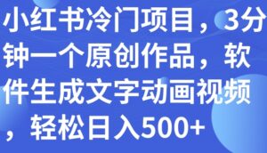 小红书冷门项目，3分钟一个原创作品，软件生成文字动画视频，轻松日入500+-大磊资源网