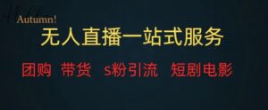 无人直播全套服务，变现稳定-大磊资源网