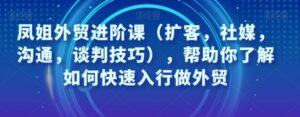 凤姐外贸进阶课，帮助你了解如何快速入行做外贸-大磊资源网