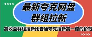 最新夸克网盘群组拉新，高收益群组拉新比普通夸克拉新高一倍的价钱-大磊资源网
