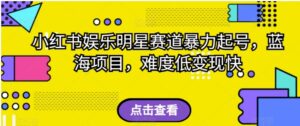 小红书娱乐明星赛道暴力起号，蓝海项目，难度低变现快【揭秘】-大磊资源网