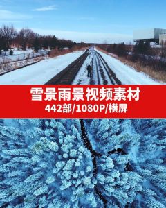 雪景雨景视频素材-大磊资源网