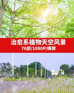 治愈系植物天空风景视频素材-大磊资源网