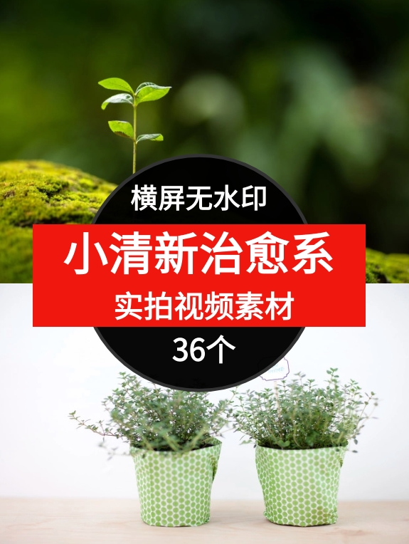 小清新治愈系高清视频素材--大磊资源网