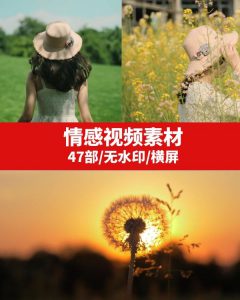 情感励志视频素材-大磊资源网