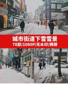 城市街道下雪雪景视频素材-大磊资源网