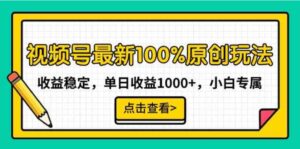 （9070期）视频号最新100%原创玩法，收益稳定，单日收益1000+，小白专属-大磊资源网