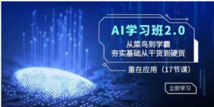 AI学习班2.0：从菜鸟到学霸，夯实基础从干货到硬货，重在应用-大磊资源网