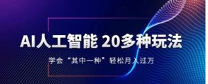 人工智能的几十种最新玩法，学会一种月入1到10w-大磊资源网