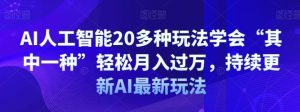 AI人工智能20多种玩法学会“其中一种”轻松月入过万，持续更新AI最新玩法-大磊资源网