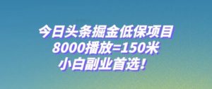 今日头条掘金低保项目，8000播放=150米，小白副业首选【揭秘】-大磊资源网