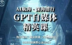 AI航海·深海潜行，GPT自媒体精英课，全网首创调教心流法3.0-大磊资源网