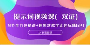 提示词视频课，9节全方位精讲+保姆式教学让你玩赚GPT-大磊资源网