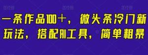 一条作品100＋，微头条冷门新玩法，搭配AI工具，简单粗暴【揭秘】-大磊资源网