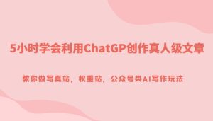 5小时学会利用ChatGP创作真人级文章，教你做写真站，权重站，公众号类AI写作玩法-大磊资源网