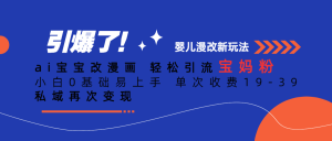 ai宝宝改漫画轻松引流宝妈粉小白0基础易上手单次收费19-39私域再次变现-大磊资源网