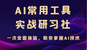 AI常用工具实战研习社，一次全面体验，助你掌握AI技术-大磊资源网