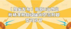 【独家发布】最新B站创业粉精准粉超级曝光引流附脚本可多开【揭秘】-大磊资源网