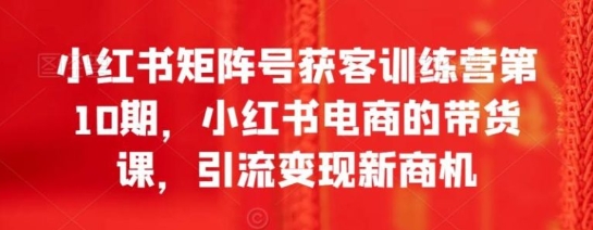 小红书矩阵号获客训练营第10期，小红书电商的带货课，引流变现新商机-大磊资源网