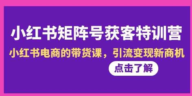 小红书-矩阵号获客特训营-第10期，小红书电商的带货课，引流变现新商机-大磊资源网
