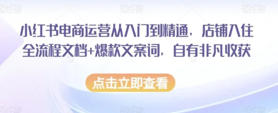 小红书电商运营从入门到精通，店铺入住全流程文档+爆款文案词，自有非凡收获-大磊资源网