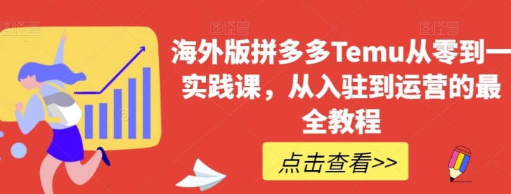 海外版拼多多Temu从零到一实践课，从入驻到运营的最全教程-大磊资源网