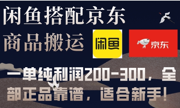 闲鱼搭配京东备份库搬运，一单纯利润200-300，全部正品靠谱，适合新手！-大磊资源网