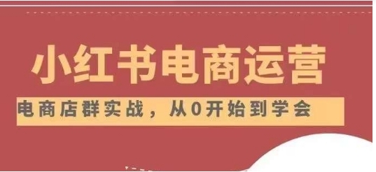 小红书店铺运营从小白到大神2.0，从入门到精通-大磊资源网