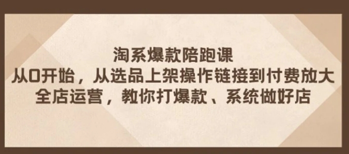 淘系爆款陪跑课 从选品上架操作链接到付费放大 全店运营 打爆款 系统做好店-大磊资源网